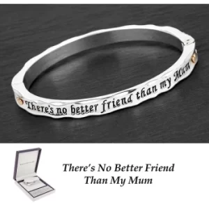 Image of Equilibrium 2 Tone Hinged Mum Friend Bangle