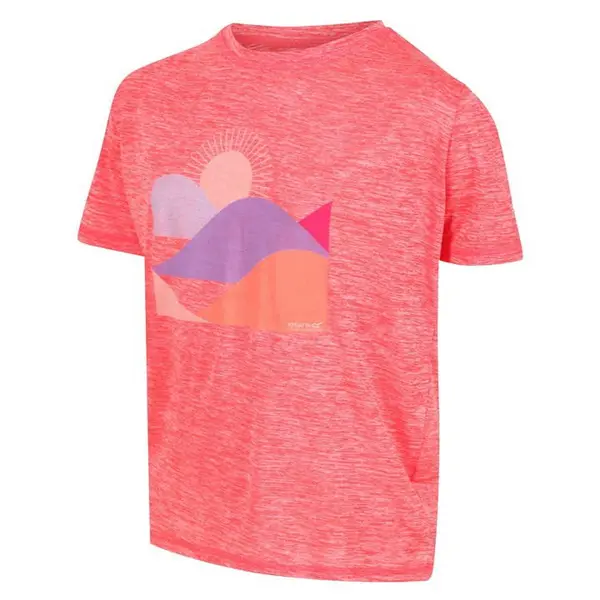 Image of Regatta Alvarado VI T-Shirt - Pink C7-C8