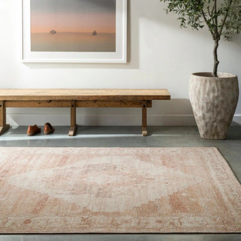 Image of Becki Owens X Livabliss Vintage Oriental Boho Blush/cream Luca Area Rug 120 X 170 Cm - Easy Care, Ideal For Living Room & Bedroom