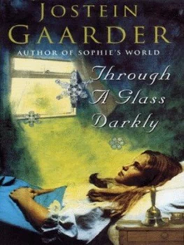 Image of Through a Glass Darkly by Jostein Gaarder Hardback