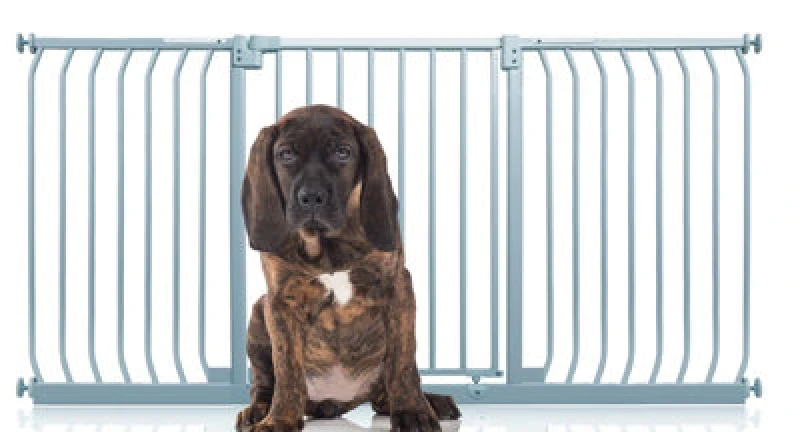 Image of Bettacare Elite Pressure Dog Gate, 170Cm - 179Cm, Matt Grey, Pressure Fit Pet Gate For Dog And Puppy