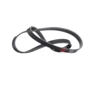 Image of RIDEX V-ribbed belt 305P0392 Serpentine belt,Auxiliary belt BMW,FIAT,PEUGEOT,7 (E32),8 (E31),500 (312),PUNTO (188),500 C (312),STILO (192)