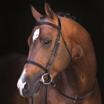 Image of Mio Bridle - Black