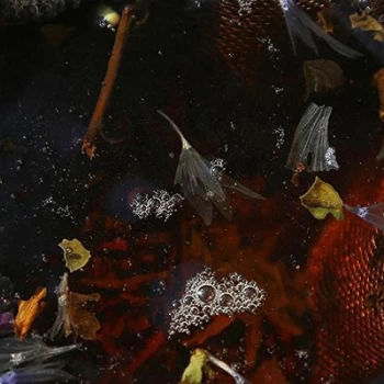 Image of On Top by Philippe Petit & Friends CD Album