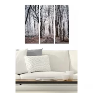 Image of MDF3141219 Multicolor Decorative MDF Painting (3 Pieces)