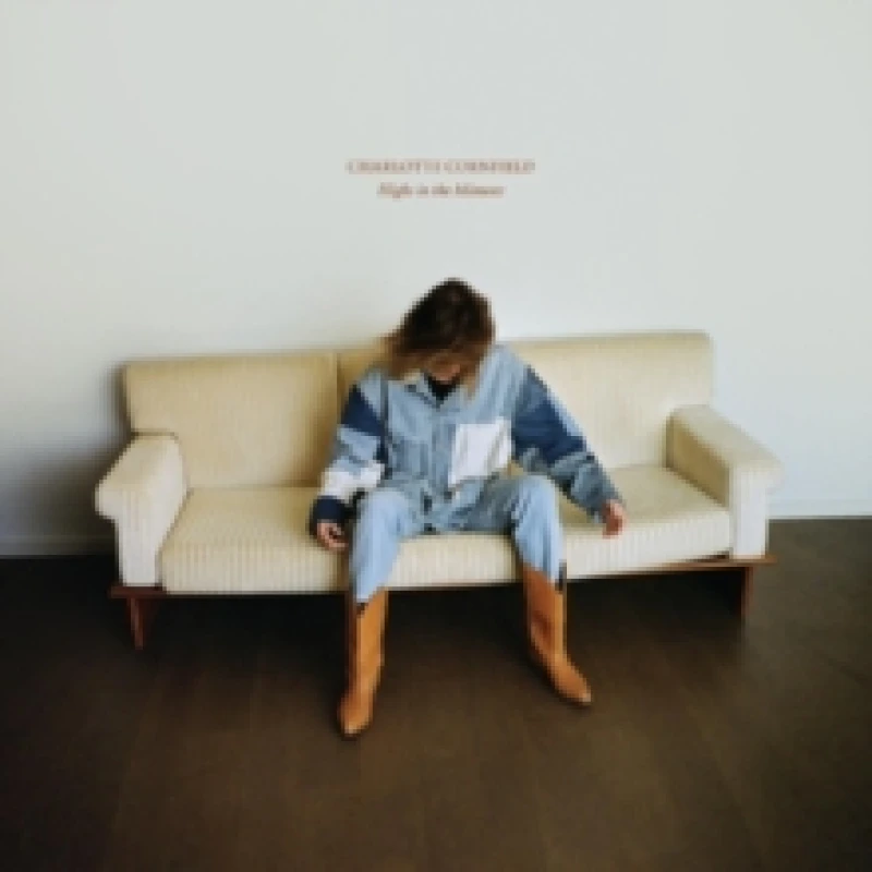 Image of Highs in the Minuses Vinyl