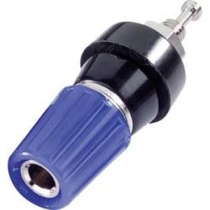 Image of Pole terminal Blue 10 A SCI R1 14M BL