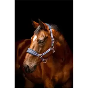 Image of Rambo Pad Headcollar 21 - Blue