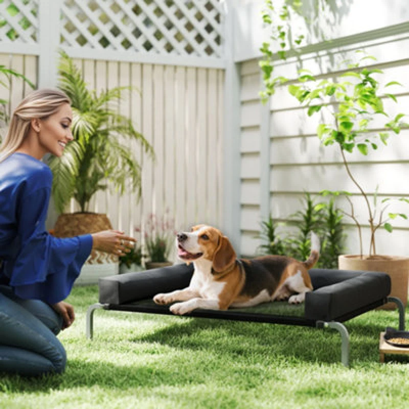 Image of Pawhut Elevated Dog Bed, Raised Dog Bed With Removable Bolsters