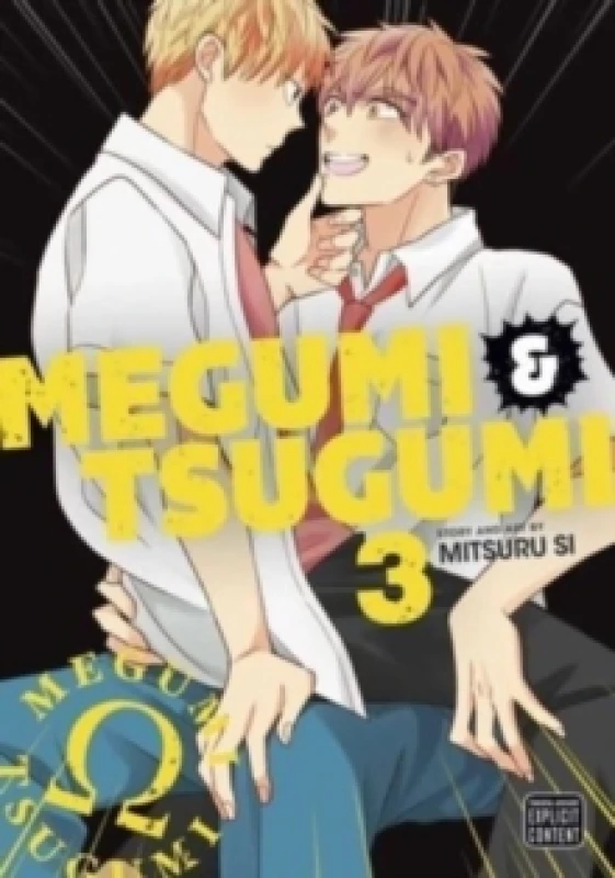 Image of Megumi & Tsugumi, Vol. 3 Paperback / softback