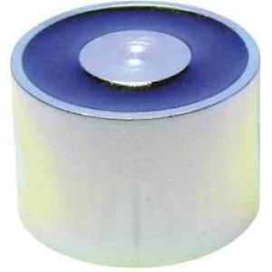 Image of Electromagnet not magentic disconnected 380 N 12 Vdc 3 W