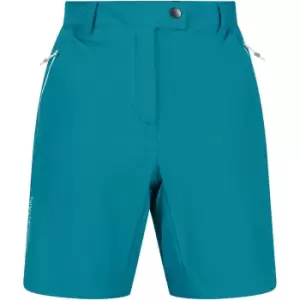 Image of Regatta Womens Mountain II Active Stretch Walking Shorts UK 16- Waist 33', (84cm)