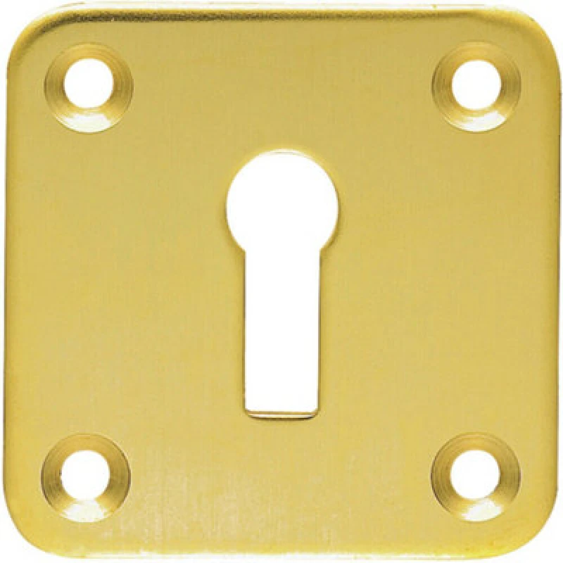 Image of Loops Standard Lock Profile Open Escutcheon 50 x 50mm Polished Brass Keyhole Cover Metallics unisex