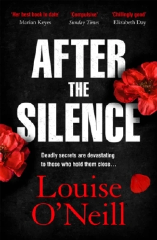 Image of After the Silence : The An Post Irish Crime Novel of the Year Paperback / softback