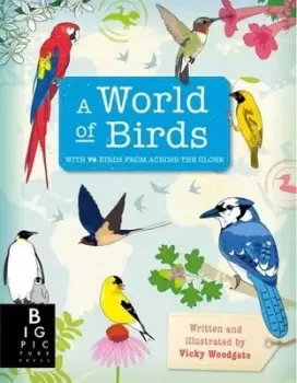 Image of A world of birds by Vicky Woodgate