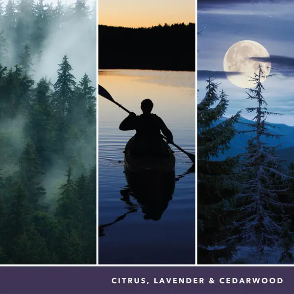 Image of Yankee Candle Midsummer's Night Scented Candle 368g