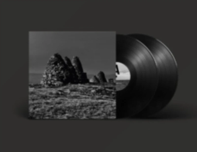 Image of Standers Vinyl