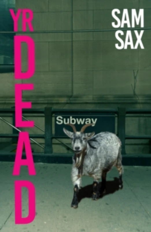 Image of Yr Dead Paperback / softback
