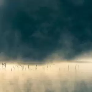 Image of Convivium by Oneirogen CD Album