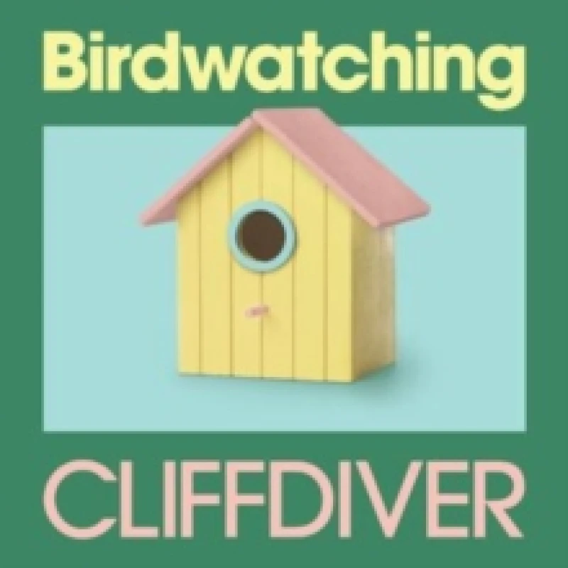 Image of Birdwatching Vinyl