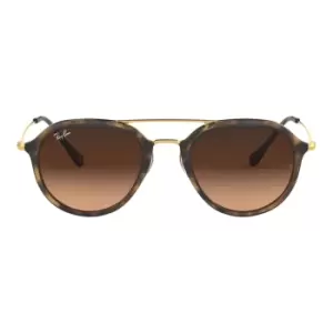 Image of Ray-Ban RB 4253 Sunglasses