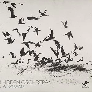 Image of Hidden Orchestra - Wingbeats Vinyl