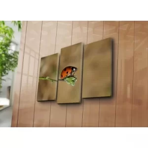 Image of 3NATPAT-31 Multicolor Decorative Canvas Painting (3 Pieces)