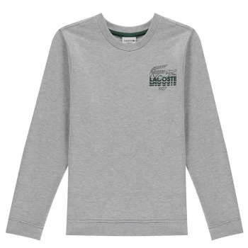 Image of Lacoste Junior Crew Neck Sweater - Grey