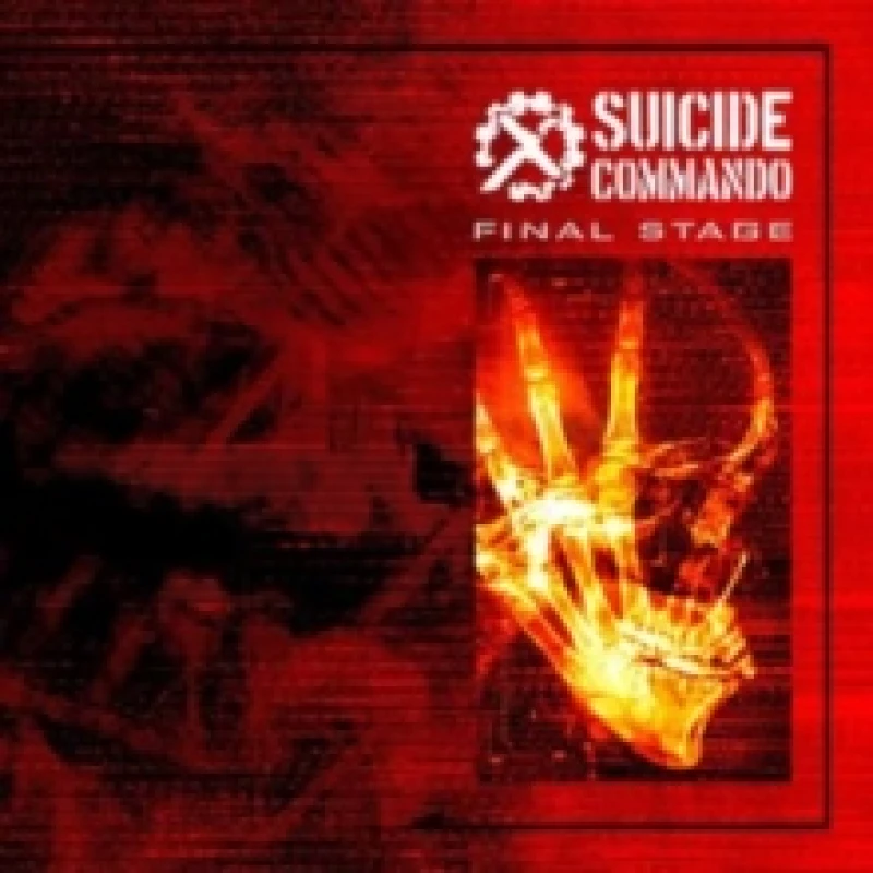 Image of Final stage CD / Album