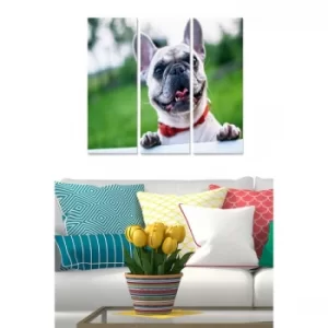 Image of MDF1482630 Multicolor Decorative MDF Painting (3 Pieces)