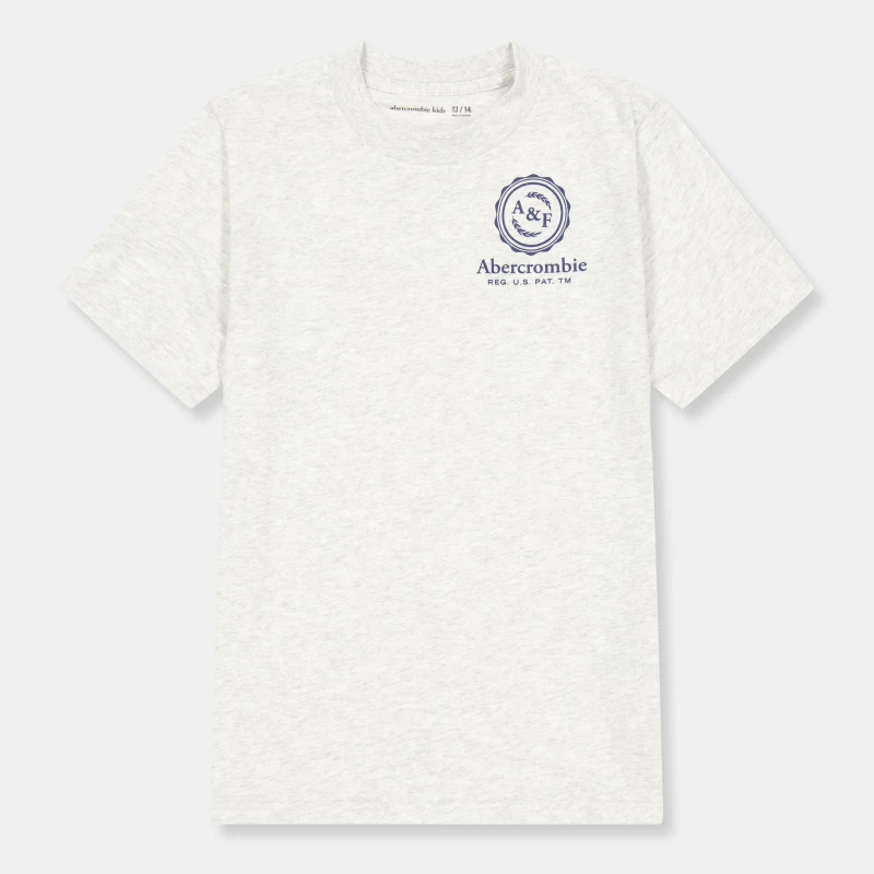 Image of Abercrombie and Fitch Kids T-Shirt Light Grey GH3 male 5-6Y