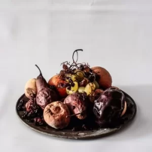 Image of Desatura by The Lotus Eaters CD Album