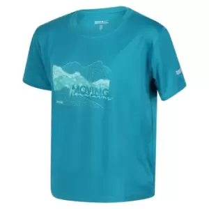 Image of Regatta Alvarado VI T-Shirt - Enamel