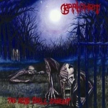 Image of Baphomet - The Dead Shall Inherit CD