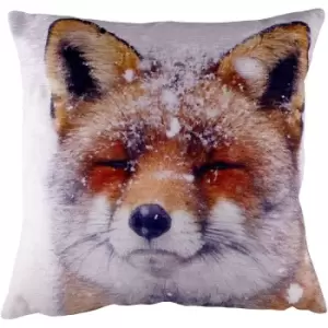 Image of Evans Lichfield Fox Portrait Cushion Cover (One Size) (Multicoloured) - Multicoloured