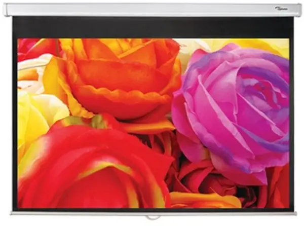 Image of Optoma 95" DS-1095PMG+ Pull Down Projector Screen