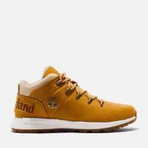 Image of Timberland Sprint Trekker Hiking Boot For Her In Yellow, Size 4