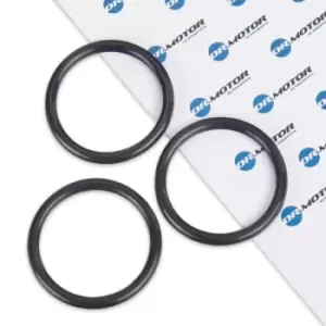 Image of DR.MOTOR AUTOMOTIVE Gaskets FORD,FIAT,PEUGEOT DRM0605 1381796 Gasket, water pump