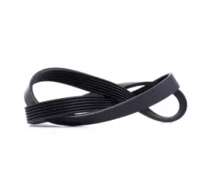 Image of DAYCO V-ribbed belt VW,AUDI,SKODA 6PK1033 51968200329,11287518250,1192053J00 1192053J01,1192053J10,1192070J00,1192070J05,A192053J01,06A260849K