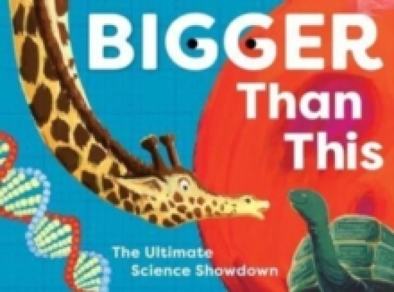 Image of Bigger Than This. Cards. By Balthazar Pagani, Jenny Jacoby Books