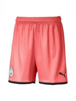 Image of Puma Youth Manchester City 18/19 Third Shorts