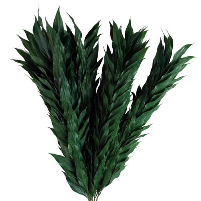 Image of Leaf Pack of 6 x 100cm Artificial Plastic Decorative Leaf Spray