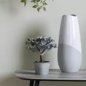 Image of Crossland Grove Potted Echeveria Pink Green H220Mm