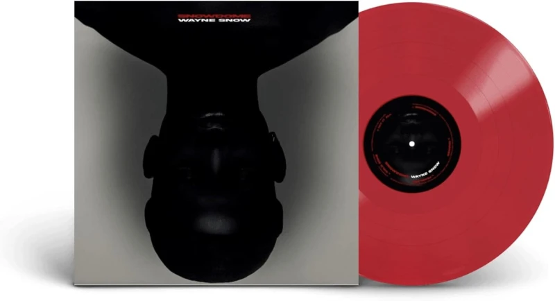 Image of SNOWDOME Vinyl