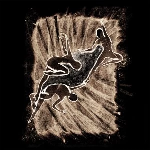 Image of Laster - Het Wassen Oog Vinyl