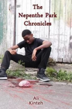 Image of The Nepenthe Park Chronicles by Ali Kintem Paperback