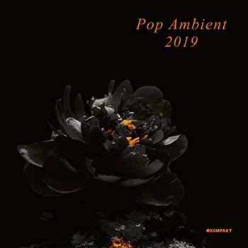 Image of Various Artists - Pop Ambient 2019 Vinyl