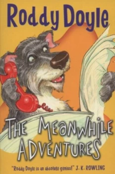 Image of The Meanwhile Adventures by Roddy Doyle Paperback