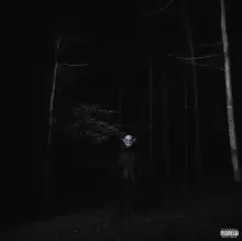 Image of If Looks Could Kill (Limited Edition)