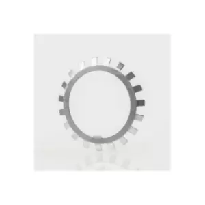 Image of Sicherungsbleche MB25 2mm AD 170mm ID 125mm SKF